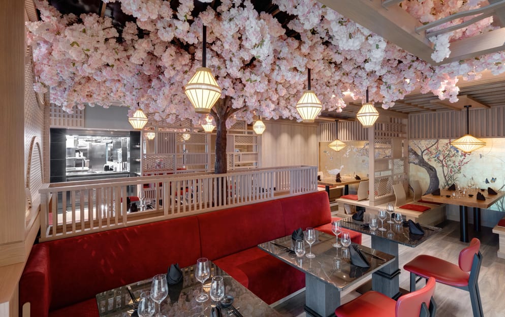 Explora Journeys, EXPLORA I, Sakura 0.jpg